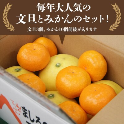 【先行受付】間城農園 ちょこっと食べたい方におすすめ「文旦とみかんのプチBOX」 ms-0088
