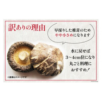 訳あり しいたけ 宮崎県産 乾燥 芽どんこ 120g 3p 計360g [31ac0064]