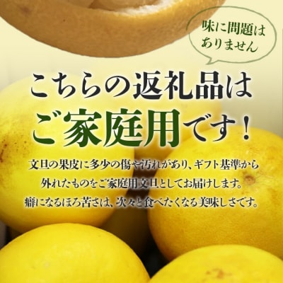 文旦 土佐文旦 10kg (家庭用)(2L～4Lサイズ) 間城農園 ms-0095