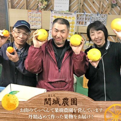 文旦 土佐文旦 10kg (家庭用)(2L～4Lサイズ) 間城農園 ms-0095