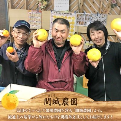 【先行受付】間城農園 土佐文旦 10kg(規格外)(2L～4Lサイズ) ms-0096