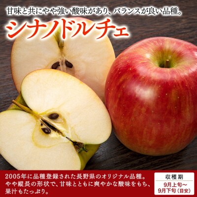 シナノドルチェ(約5kg、優14～18玉)