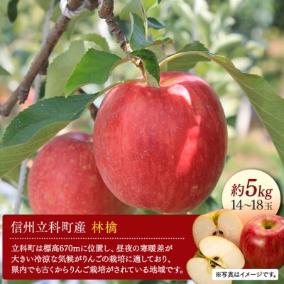 シナノドルチェ(約5kg、優14～18玉)