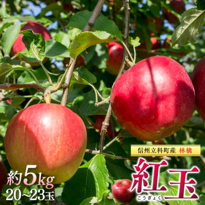 紅玉(約5kg、優20～23玉)