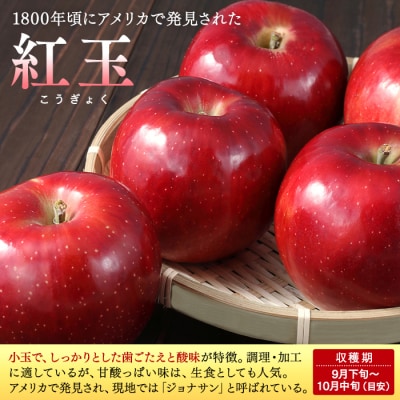 紅玉(約5kg、優20～23玉)