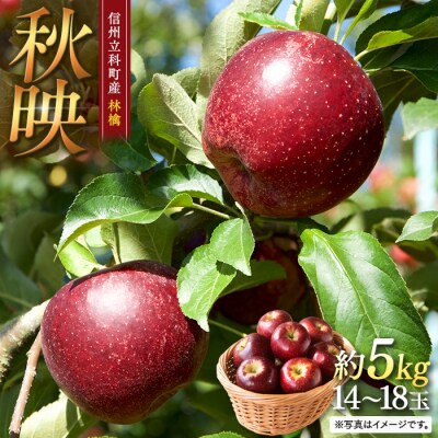 秋映(約5kg、優14～18玉)　