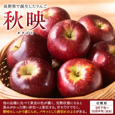 秋映(約5kg、優14～18玉)　