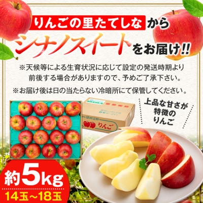 シナノスイート(約5㎏、優14～18玉)　
