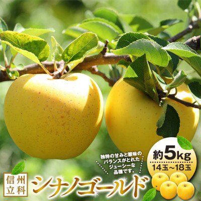 シナノゴールド(約5kg、優14～18玉)