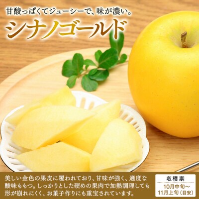 シナノゴールド(約5kg、優14～18玉)