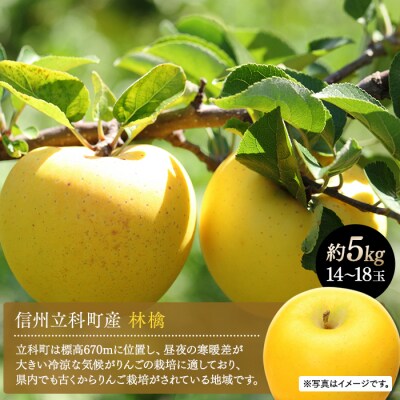 シナノゴールド(約5kg、優14～18玉)