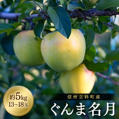 ぐんま名月(約5kg、優13～18玉)　