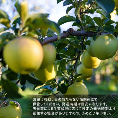 ぐんま名月(約5kg、優13～18玉)　