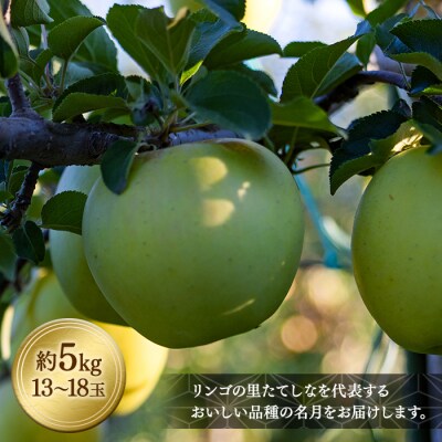 ぐんま名月(約5kg、優13～18玉)　