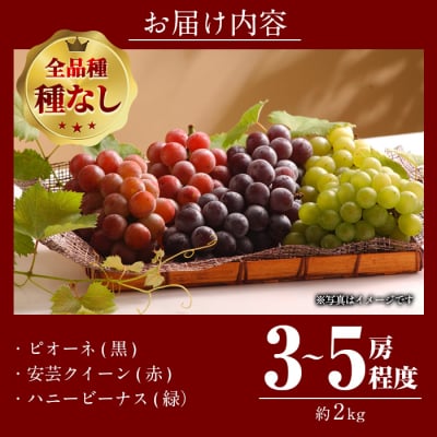 <先行受付中!2026年9月以降順次発送予定>宇目葡萄 3種詰め合わせ(合計2kg・3-5房)