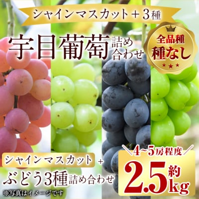 <先行受付中!2026年9月以降順次発送予定>宇目葡萄 3種+シャインマスカット