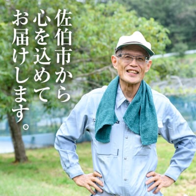 <先行受付中!2026年9月以降順次発送予定>宇目葡萄 3種+シャインマスカット