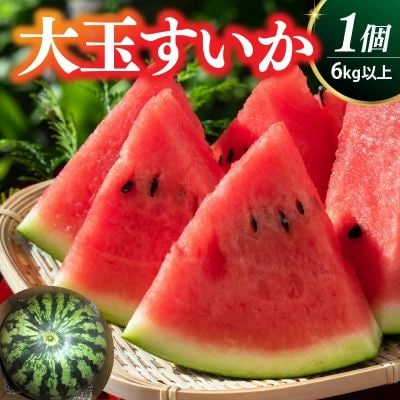 大玉すいか(祭りばやし)1個　0030-2624