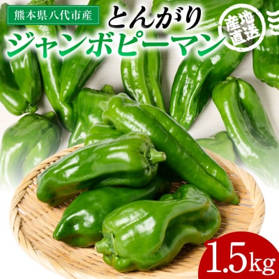 とんがりジャンボピーマン 1.5kg_271-6792-A