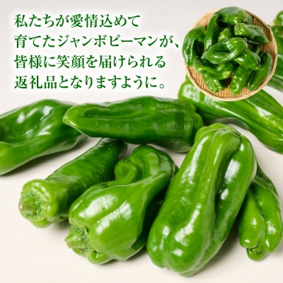 とんがりジャンボピーマン 1.5kg_271-6792-A