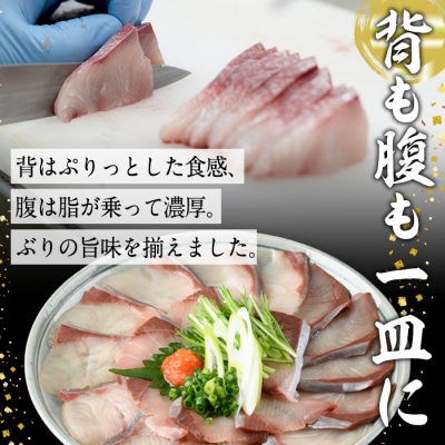 <先行受付中!2026年10月下旬より順次発送予定>ブリしゃぶ食べ比べセット(合計300g)