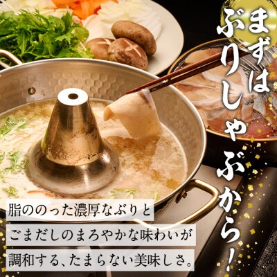 <先行受付中!2026年10月下旬より順次発送予定>特製ごまだしで食べる!ブリしゃぶセット