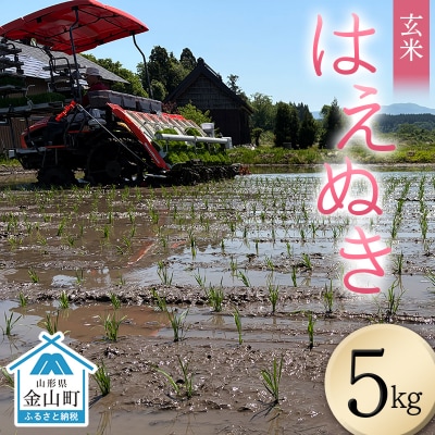 <先行予約>令和8年産【玄米】はえぬき5kg (マイスター監修) 米 お米 白米 F4B-0814