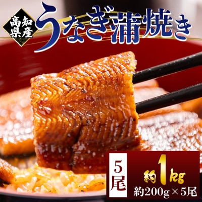 うなぎの蒲焼き 約200g 5尾(高知県産) 計約1kg フジ物産 国産 fb-0162