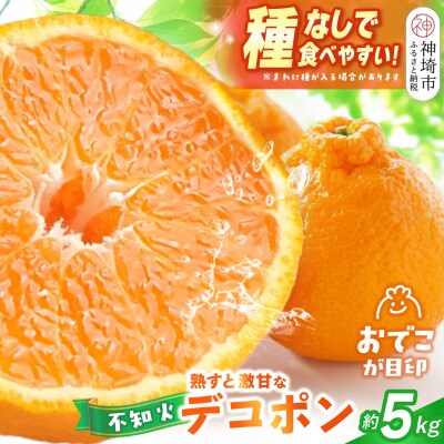 【2027年1月中旬より発送開始】不知火(デコポン) 約5kg(H116137)