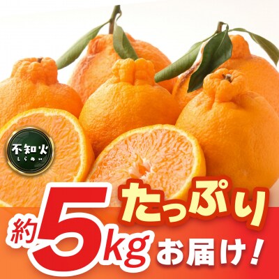 【2027年1月中旬より発送開始】不知火(デコポン) 約5kg(H116137)