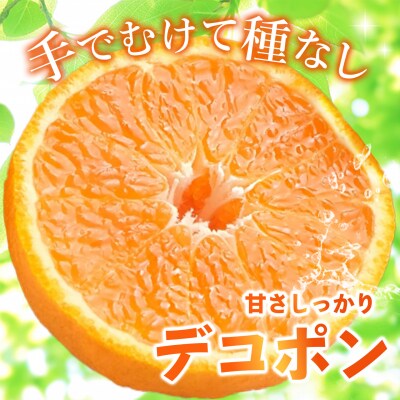 【2027年1月中旬より発送開始】不知火(デコポン) 約5kg(H116137)