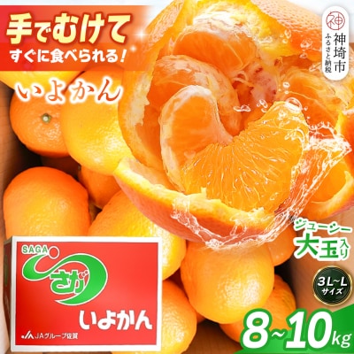 【2027年1月中旬より発送開始】いよかん 8～10kg(3L～Lサイズ)(H116141)