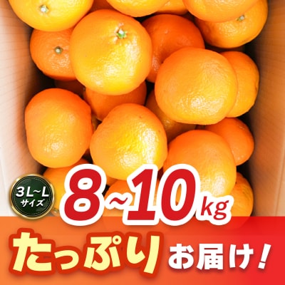【2027年1月中旬より発送開始】いよかん 8～10kg(3L～Lサイズ)(H116141)