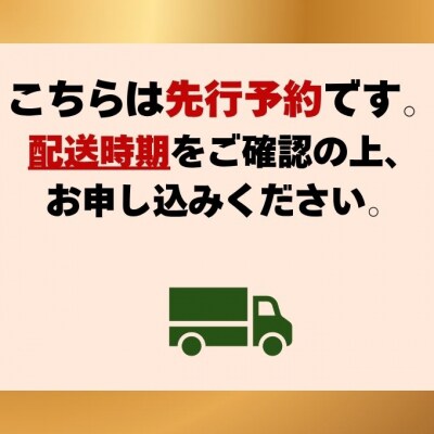 【先行受付】6回 定期便 白桃 シャインマスカット 晴王 岡山県産[No.5735-3336]