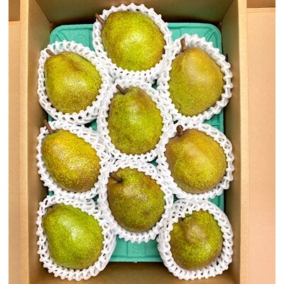 西洋梨(ラ・フランス)3kg　特秀品　0065-2608