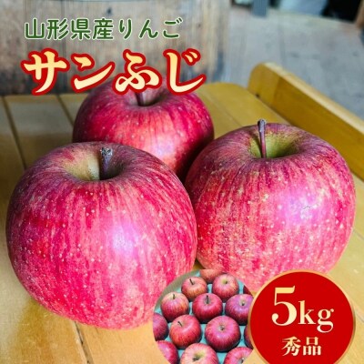 りんご(サンふじ)5kg　12～20個　秀品　0065-2611