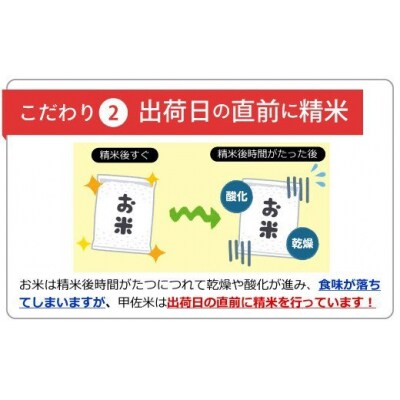 令和7年産【定期便6ヶ月】『甲佐の輝き』無洗米16kg【配送指定可】【ZQ】