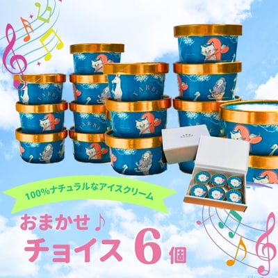 【TABBY ICE CREAM】おまかせチョイス♪ アイスクリーム 6個 セット