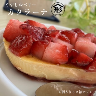うずしおベリー カタラーナ 2箱セット(計8個)