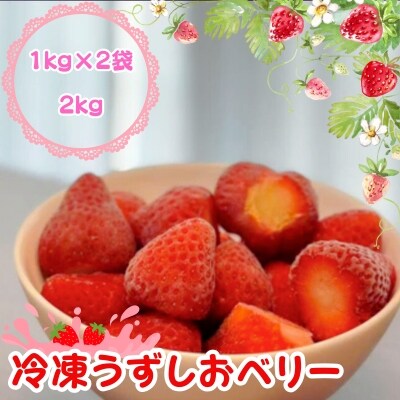 KISAI GARDEN 冷凍いちご うずしおベリー 2kg