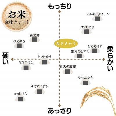 【定期便】令和7年産 10kg 【6ヵ月連続お届け】 計60kg 広島県産 あきさかり 厳選