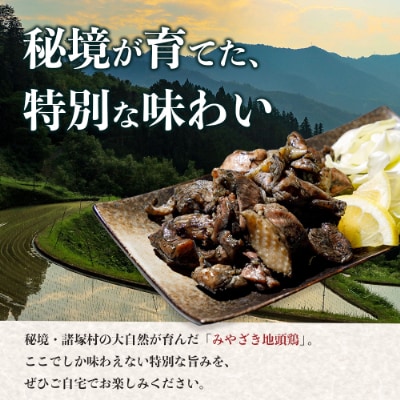 宮崎県が誇る「みやざき地頭鶏」の絶品炭火焼! 120g×7P