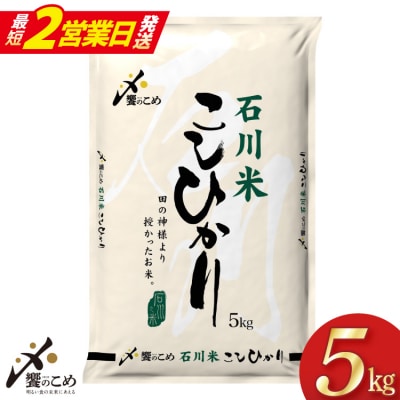 米 令和7年 石川米 こしひかり 精米 5kg [中橋商事 宝達志水町 38601197-sp]