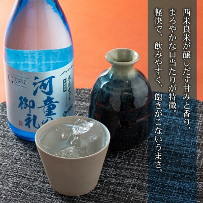 [ふるさと納税]本格焼酎　米良がたり　2本セット　米焼酎