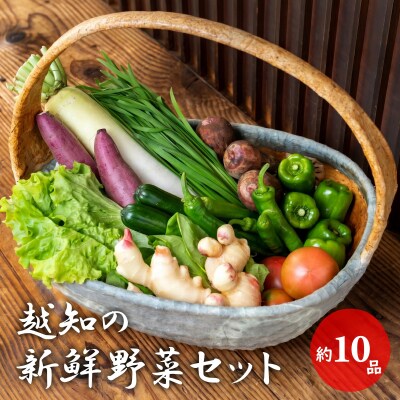 越知産市の季節の野菜セット(年1回発送)　産地直送　旬野菜