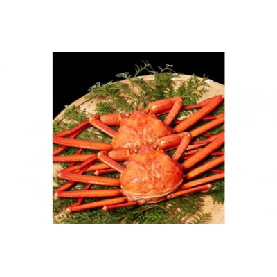 <10月上旬～配送予定><訳あり>紅ずわい蟹 1kg(500g前後×2枚)