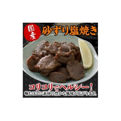 国産砂ずり塩ホルモン食べ比べセット　