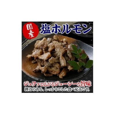 国産砂ずり塩ホルモン食べ比べセット　