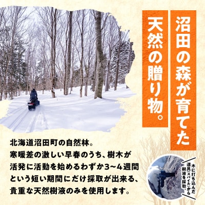 メープルシロップ「snow」(65g)1本 国産 北海道 樹液 食品 沼田町 n-0110