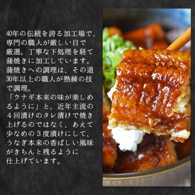 養殖うなぎ蒲焼き 約165g×3尾(台湾産鰻) fb-0015